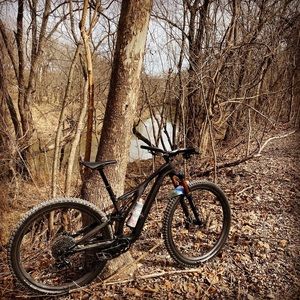 Meet your Posher, Carol